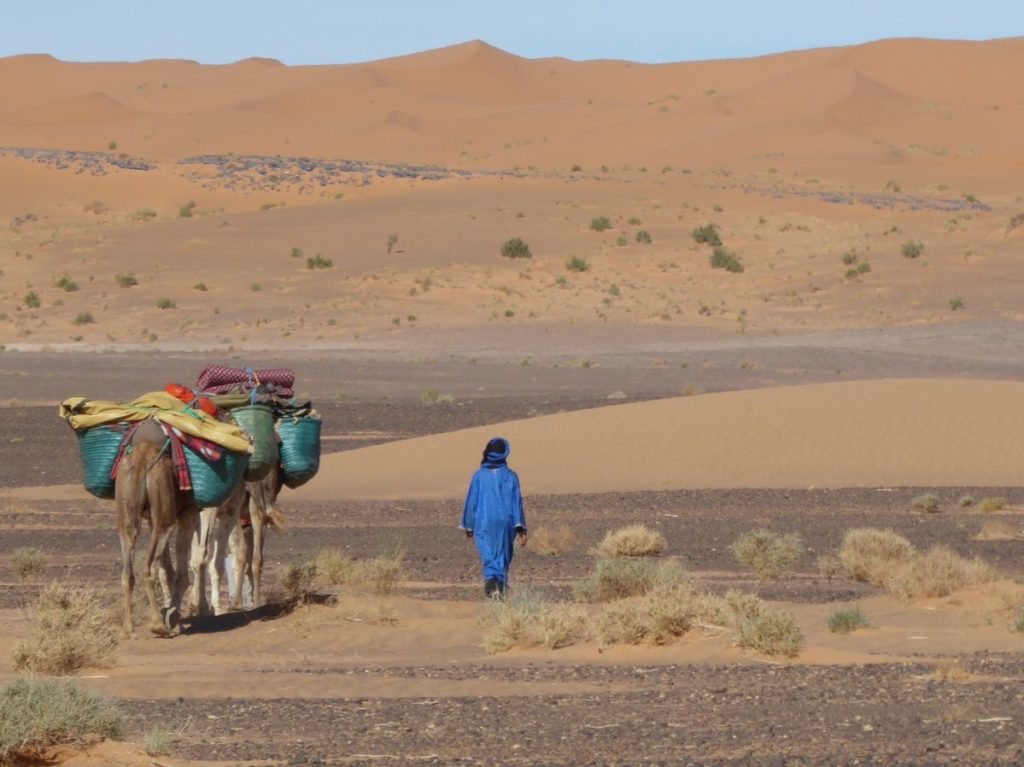 Nomad and camels walking in the desert